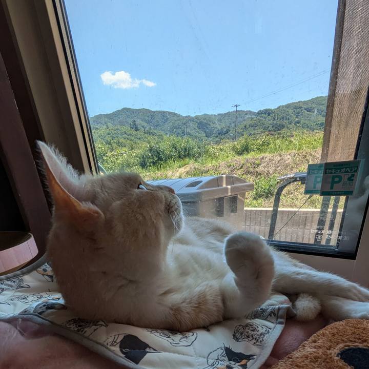 2800207a 5e9a 4036 ae2f 703ec30f3c01 1718332682143