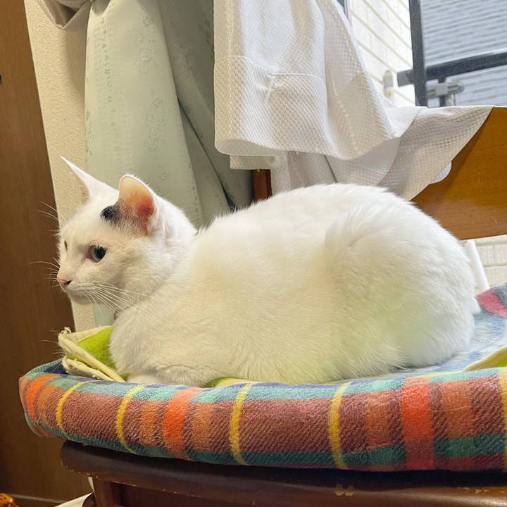 28003ad2 56ef 42dd 8ead 82c629c05ce9 1766357771681