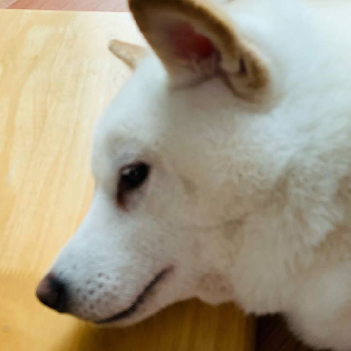 280043ff f0c4 4612 8200 5118322b0697 1605244096190