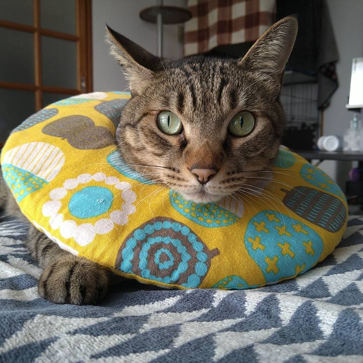 280059bf 5ba1 4e9f b7bd badde84f3621 1724731024662