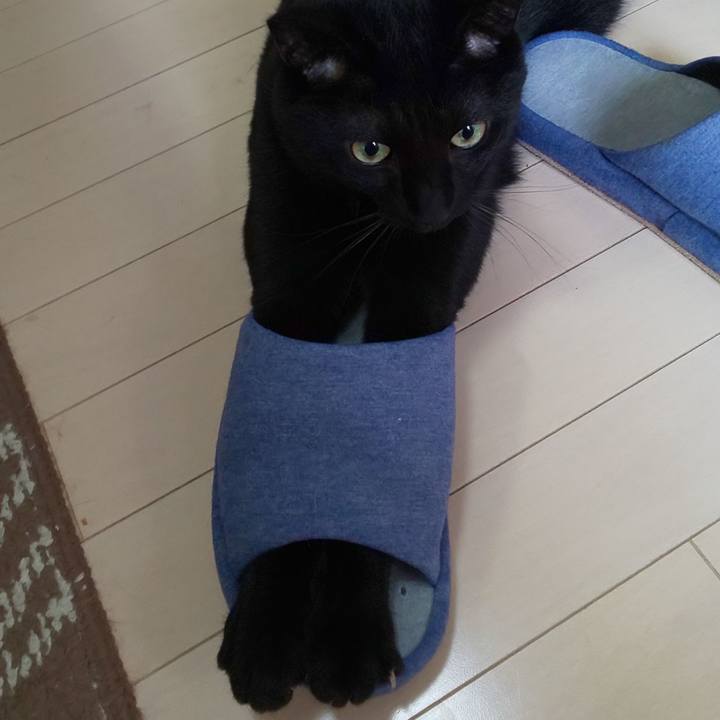 2800688f 236e 40bc 926d afcfd368c790 1601100222835