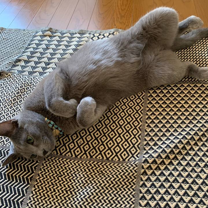 28008478 db35 4b03 8915 cb3b7a2ff8e4 1605482716241