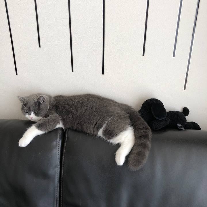 2800a963 e883 456e 8098 6bb547c2e9a5 1522853095646