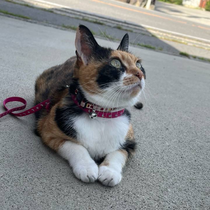 2800cfbe c8b9 4b3d be33 35b8ce4a254d 1693608138717