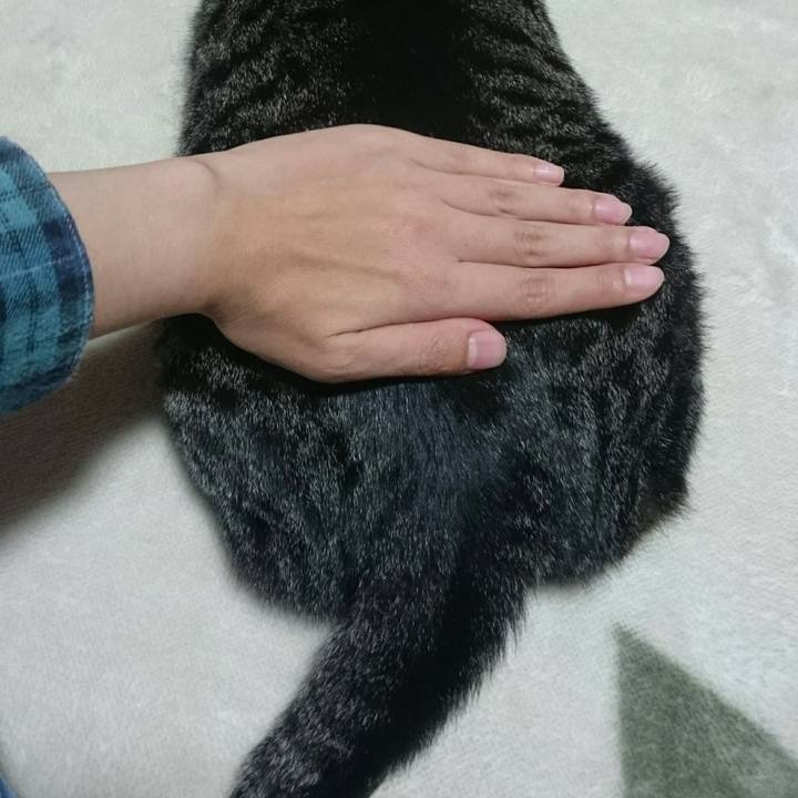 2800e388 3374 4ede 8c90 f1632d75289b 1510407212074