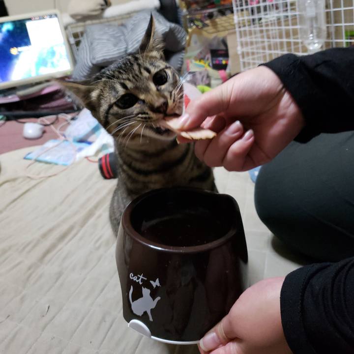 2800f0a5 40ad 4101 a274 993ca2aafad3 1544103488994