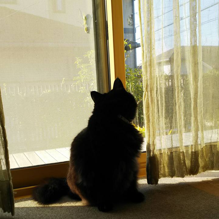 28010a21 3567 42f9 a384 047b68668855 1508800057620