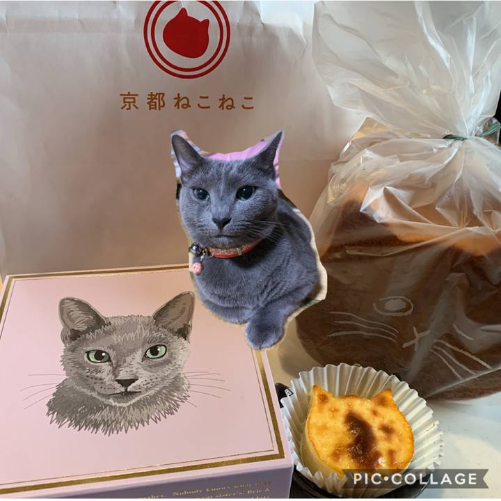 280110ea 2820 41bd b7d8 7fceea17f03e 1600246247222