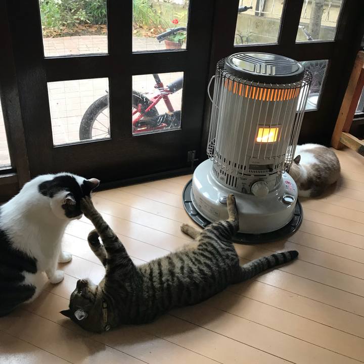 280111a4 61b0 47c3 9be0 c9eec8fab760 1511307583301