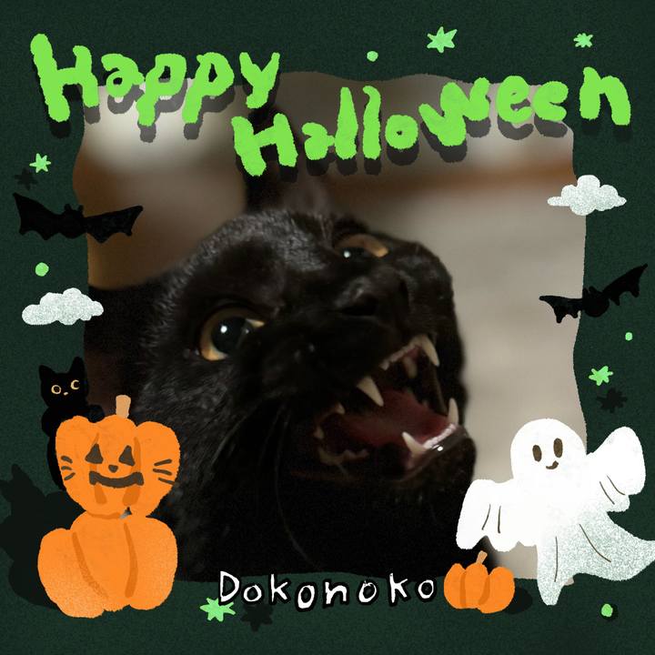 2801e30c 860d 41b1 a596 ba8e7124f47d 1729088325500