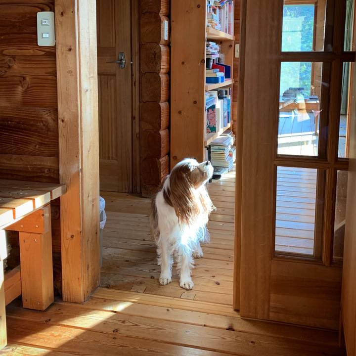 2801eb46 bf5d 4519 b4fb 3974d499e580 1575937553212