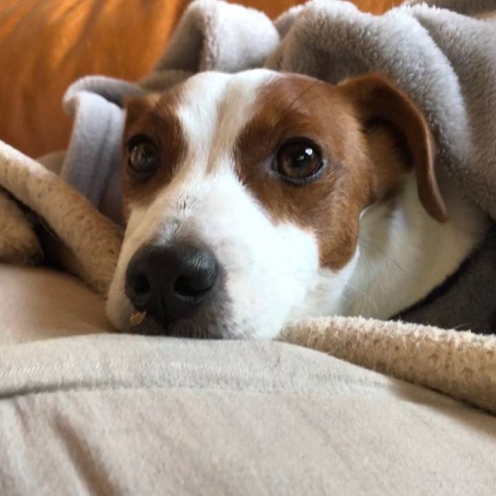 28020d0c 8426 4141 8e3d 179d944fe130 1548407450671