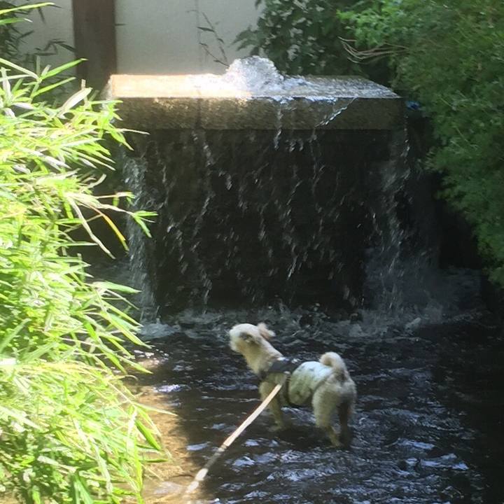 28023217 e993 4091 ae6d d5097c34184c 1558851282803