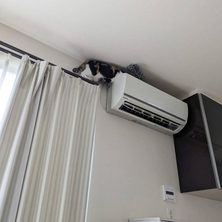 28024e8f 3a92 471a ba41 1511b9f6894d 1691299207148