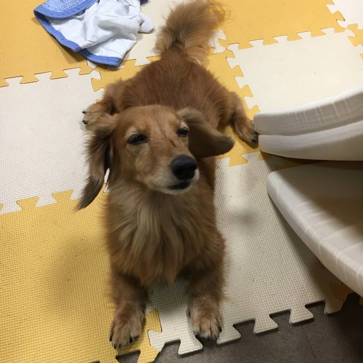 28024ed9 1619 4d4b a9fc 0dd379c74190 1597923190666