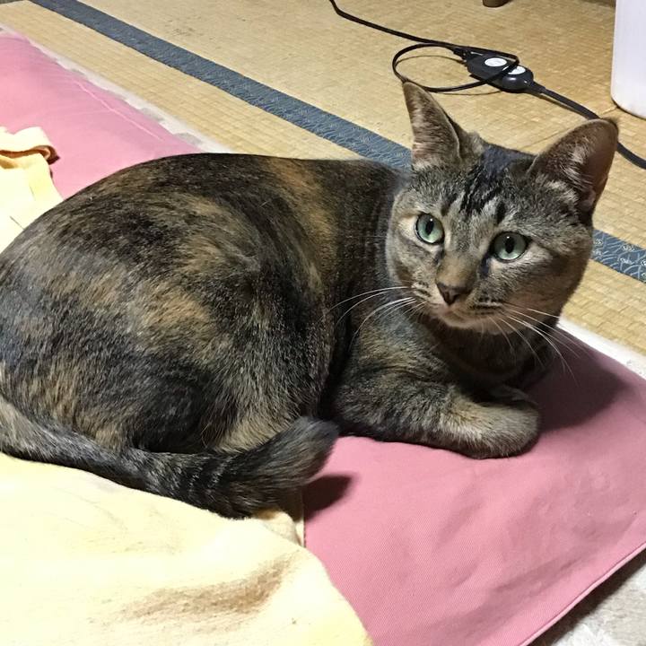 28026c2f 9edc 4c81 b3b0 9604dcd1ccf9 1670504640638