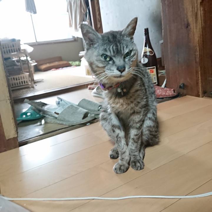 280294aa 504d 4579 a79b 318747fd4a56 1597006052437