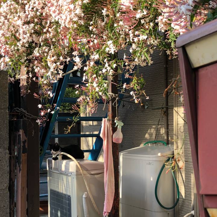 2802e9e3 9a77 4606 aee9 e92f27ee7f72 1620576027552