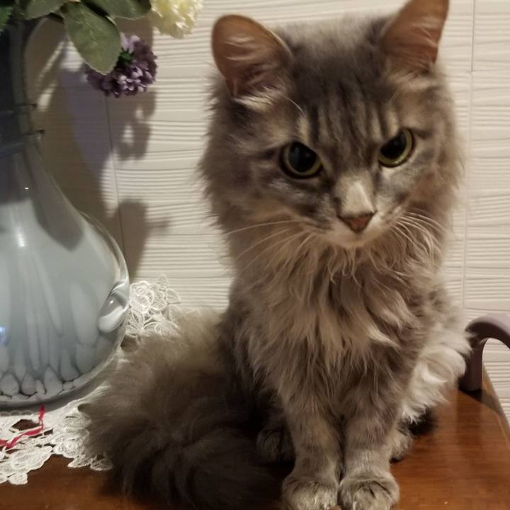 2802f928 8e6b 44ec 9ba1 f6cfb9c56db0 1565255225071