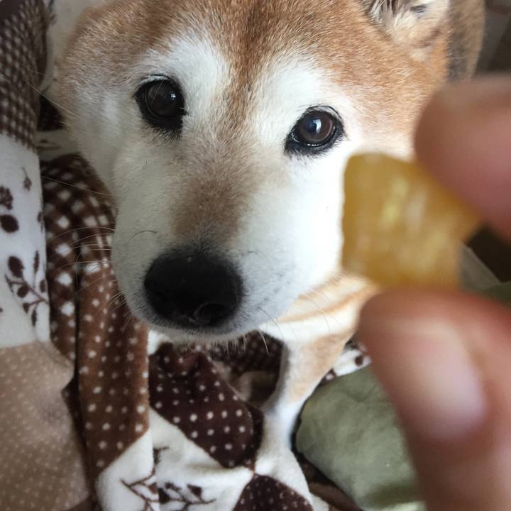 28033565 70f2 4487 95e0 615be5b45a12 1552785642013