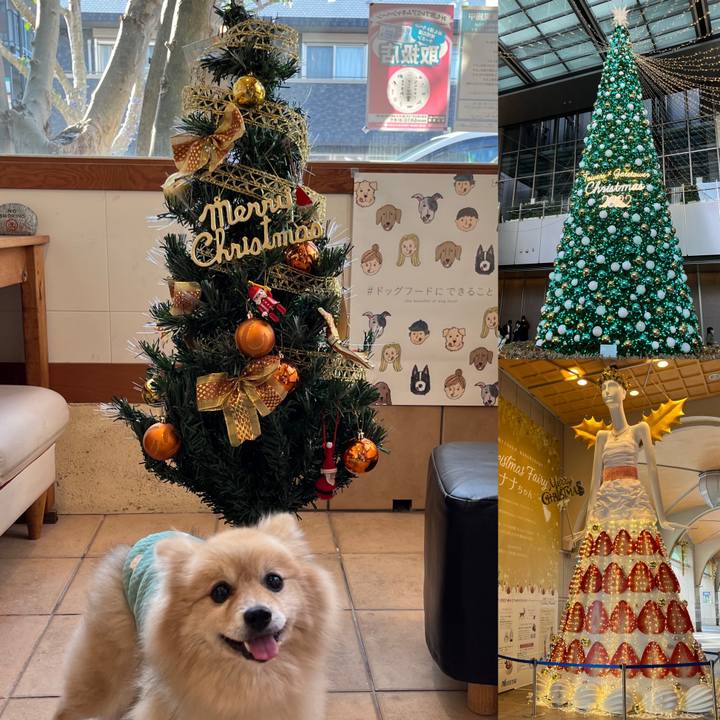 2803461b 3d6a 4a0c b696 df541f96500b 1671987014562