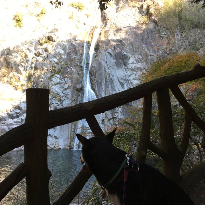 28035da5 c3e3 4cb2 a171 37b3ded8a406 1512084745465