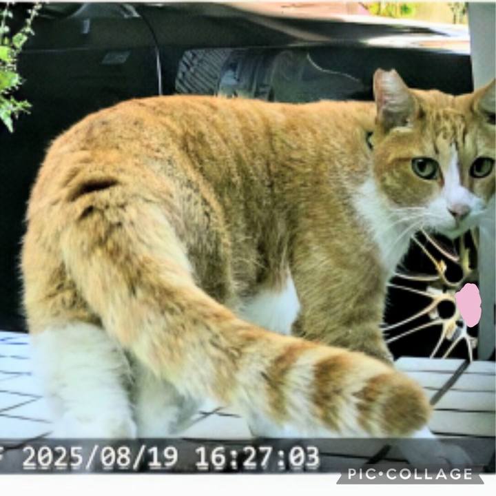 28037c14 99a8 4914 861a 7b9ebef4ca39 1755658497788