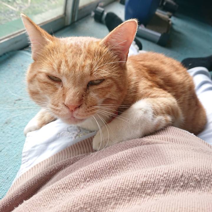 28038c11 d039 4370 a1ca 6d39fbb06c25 1572156465851