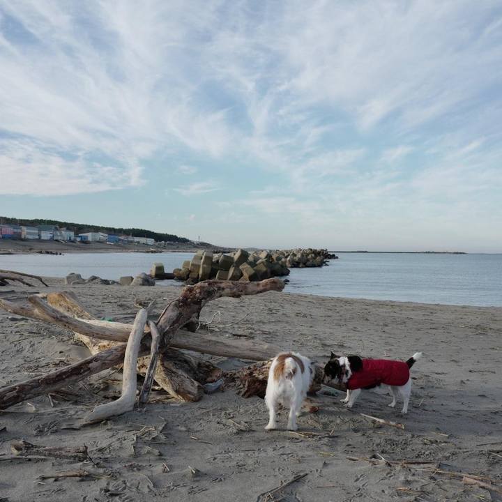 2803b5fc 1682 4f31 b308 61e0275411a1 1638331061888