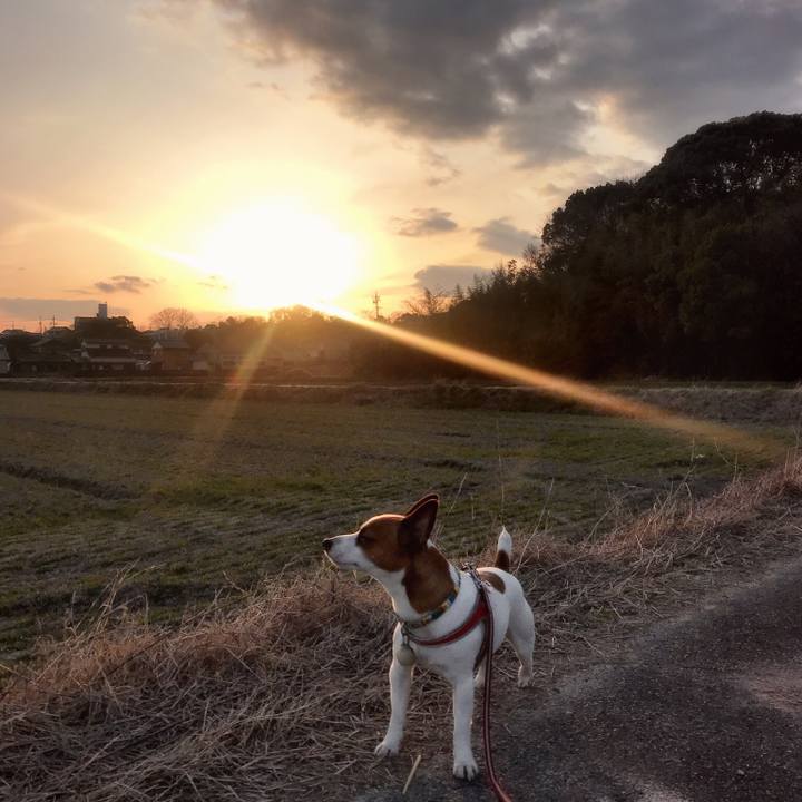 2803ba27 794a 4990 b524 6a37b450dca3 1519216533854