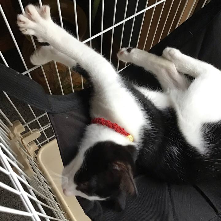 2803d59c 47a9 4df6 a5ab e4ea18396c6f 1626776015881