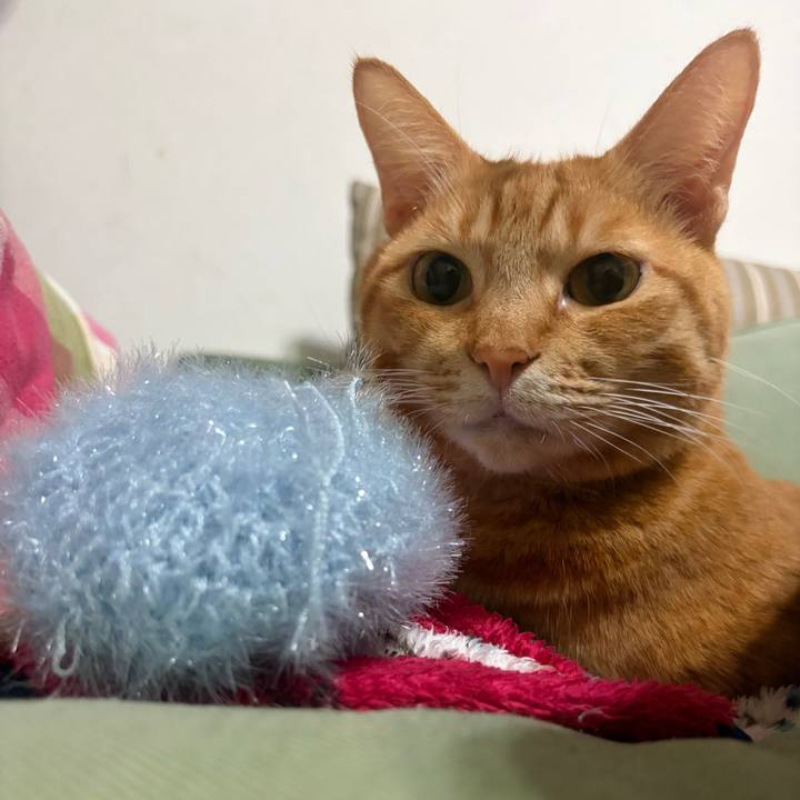 2803d981 40d8 457a 909f 0362f5d18772 1770210510227