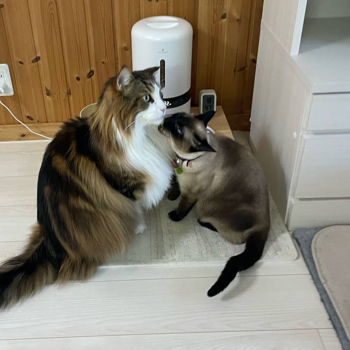 2803faf9 f60c 4fce 9ee3 bc4c9619e820 1744663221768