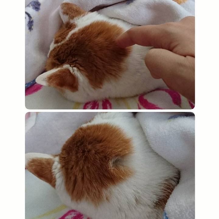 28041e3e f283 48cc a6df eb4dd255d5e3 1546647309856