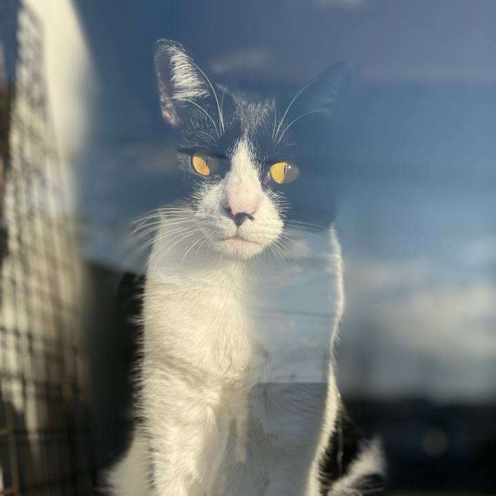 28042ba6 4f17 47dc af4e b52db81f0a32 1695590797451