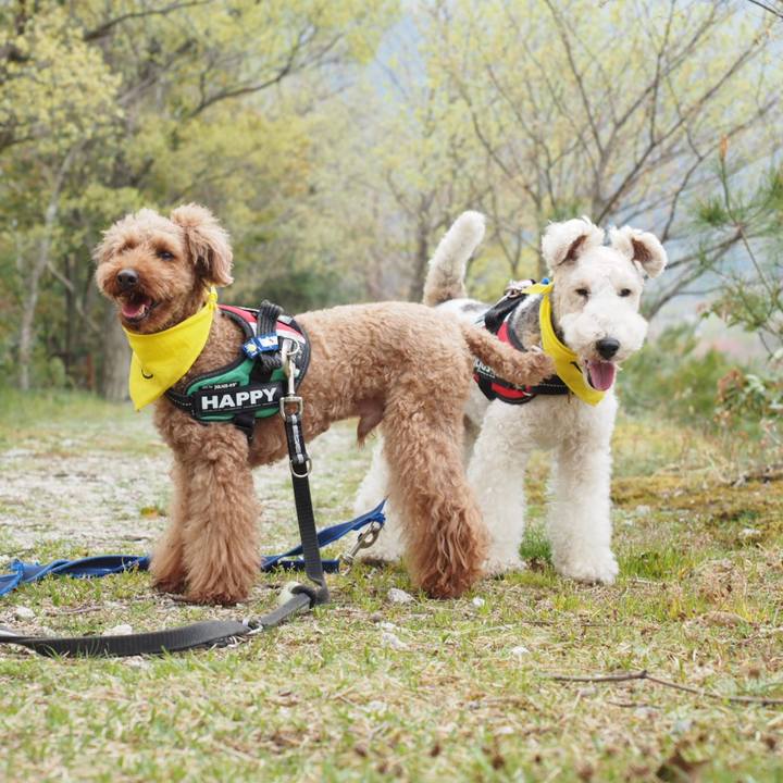 280433a2 c037 4784 b223 cdf8941b1fee 1556011049302