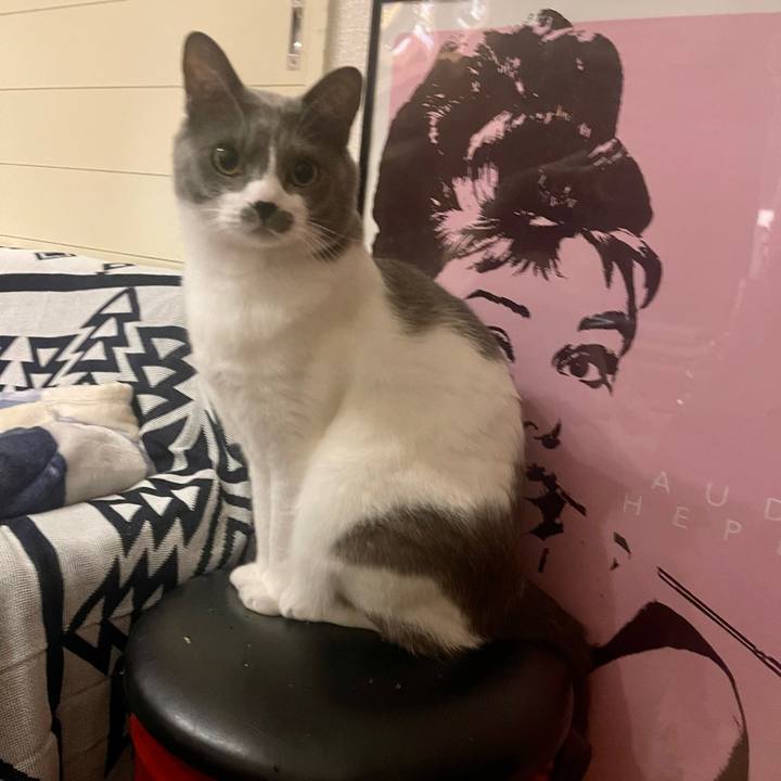 28045813 87f7 4988 9359 e2cfad5286d1 1669042789168