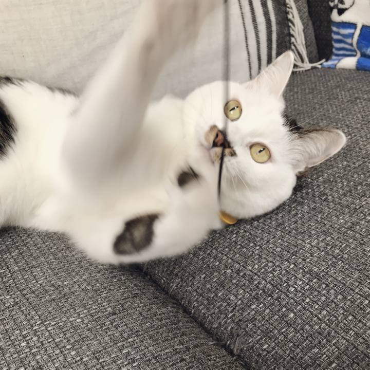 280467d2 63b7 4c54 9023 10cb9aa8716c 1549768382590