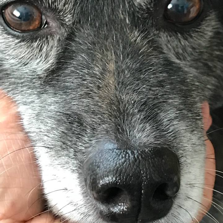 28048dc6 ce16 480c bed1 fa8f5b8c12cf 1523778260843