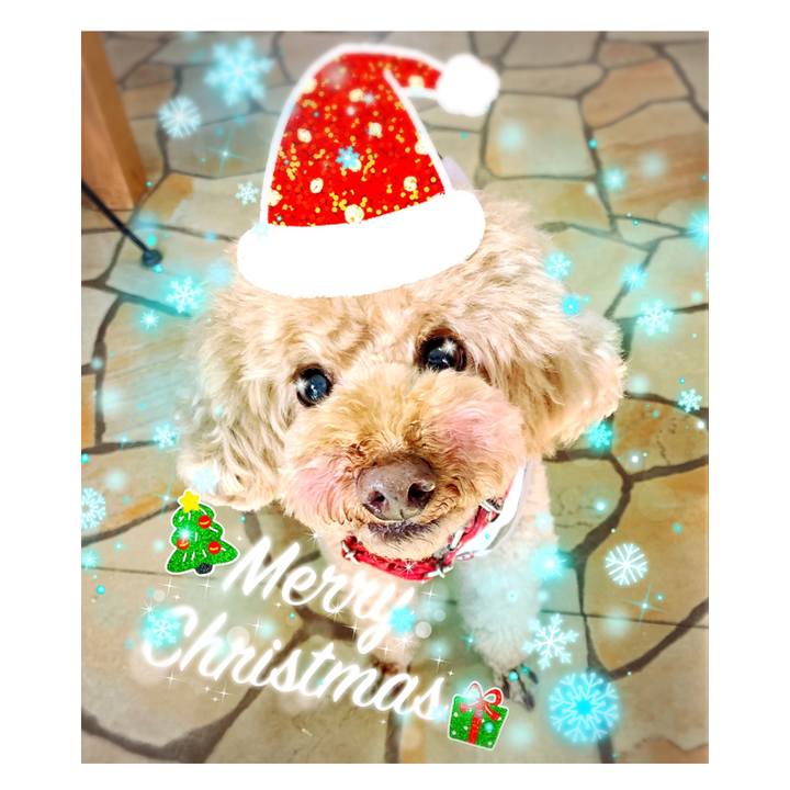 280492b2 73fe 4f78 89e0 a1390db478c2 1545601342664