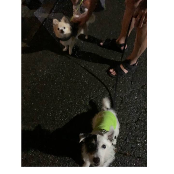 28049ff9 623e 4cc0 8e88 c86670b8b7eb 1719578084742