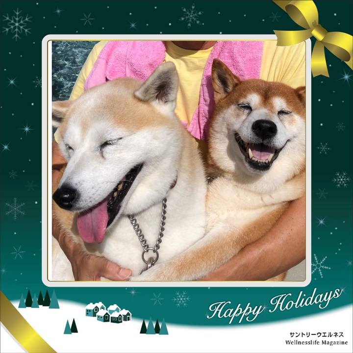 2804a84d 88e6 4c9e a6a2 73d569398386 1545708535394