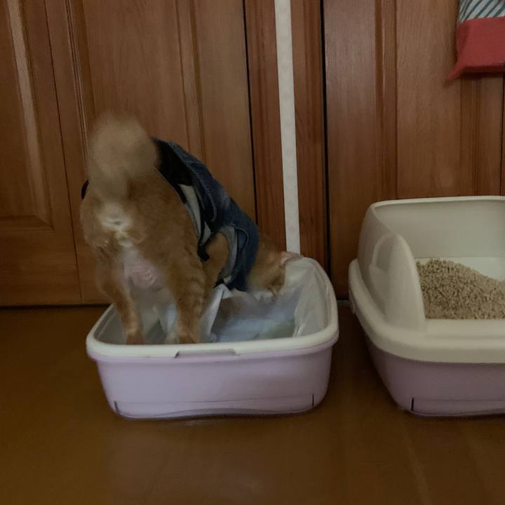 280504dc dffb 451f 9c34 52b083e50fa1 1646085321403