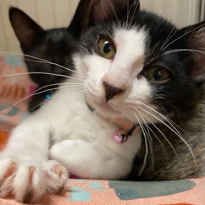 2805104e 4243 4f1a 99d2 35f3eafa15f0 1627186645804