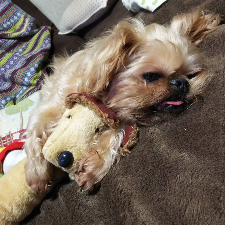 280519bf bab7 42b1 9ae9 a195d7d2b325 1513496198603