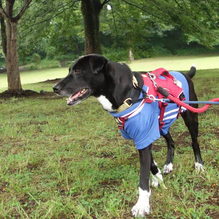 2805233f ae3b 450c 9298 c5f8f575f8fa 1623630534303