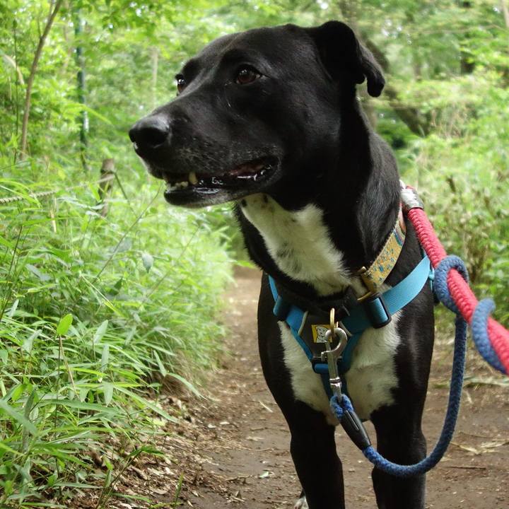 280566d1 acac 4ea6 8eb4 550da3d1593c 1622247544253