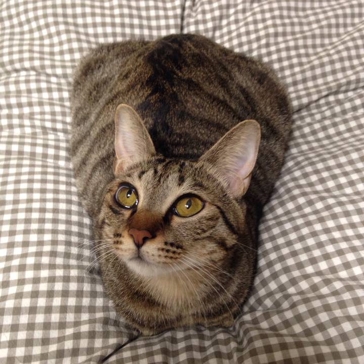 28059f0e 6a15 4e18 8cb8 e5a34629cec9 1512146465508