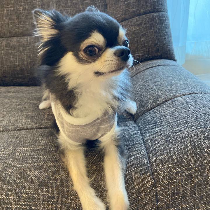 2805ad94 44b8 499d ad00 3fe0993c2e3f 1716115614550