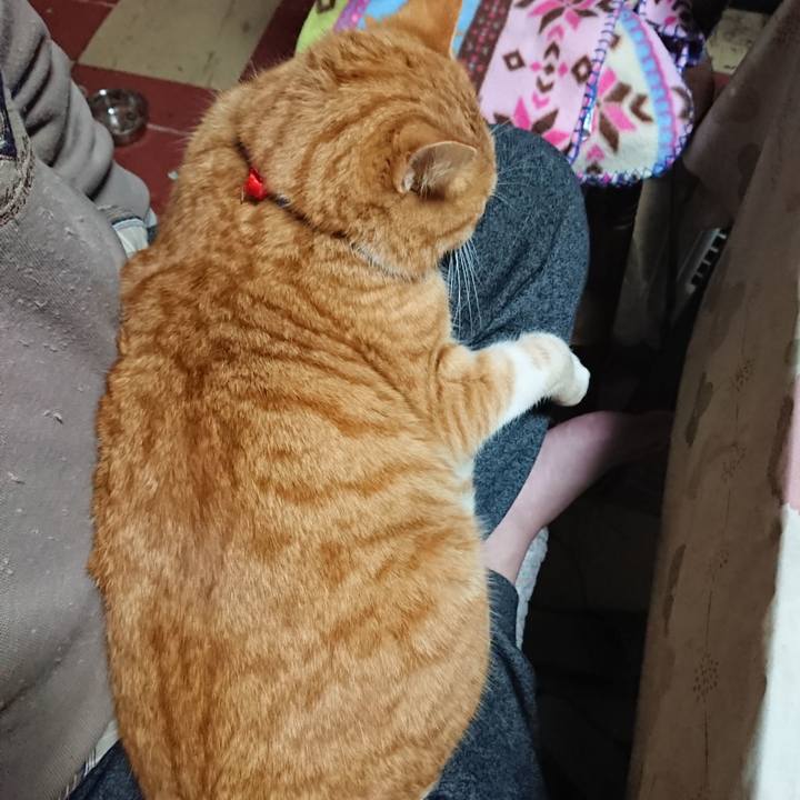 28060c86 4e5a 4430 8506 9b55f8c5f464 1576665578090